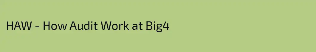 HAW - How Audit Work at Big4